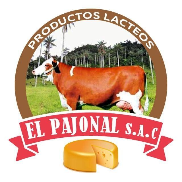 cliente (6)